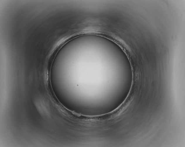X0000116381461200912021510