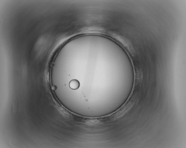X0000116381462200912021510
