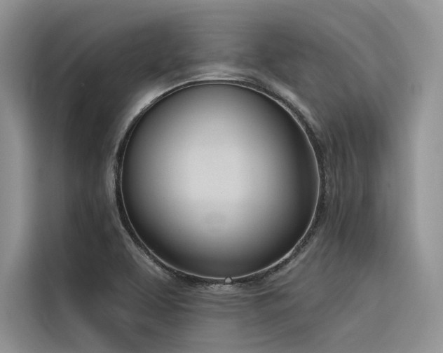 X0000116381463200912021510