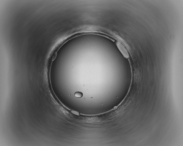 X0000116381464200912021510