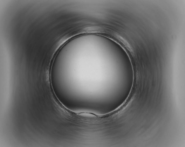 X0000116381465200912021510