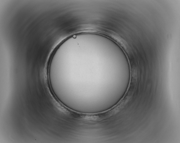 X0000116381466200912021510