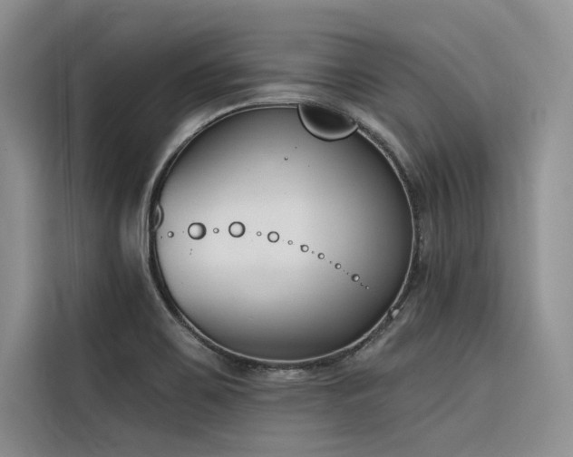 X0000116381467200912021510