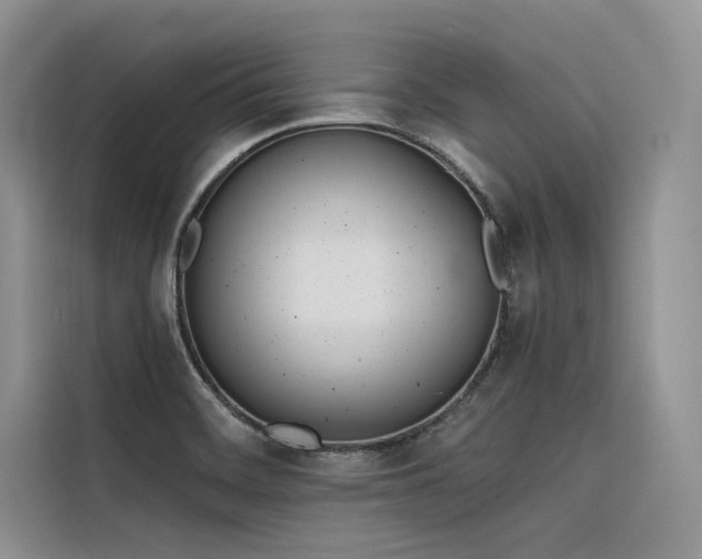 X0000116381468200912021510