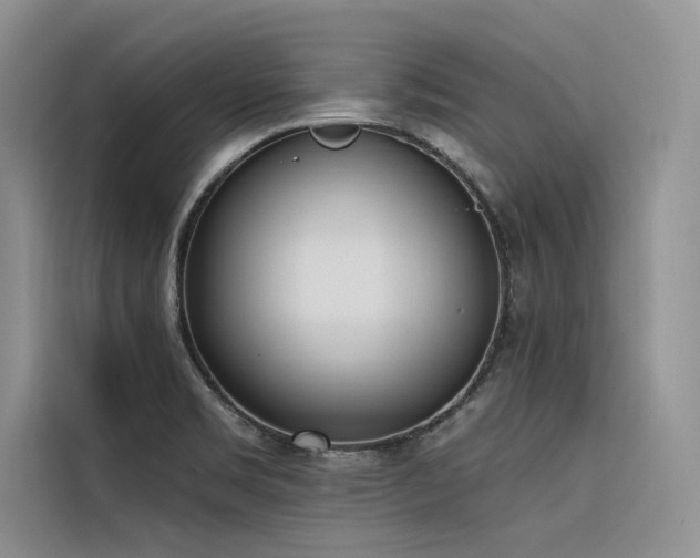 X0000116381469200912021510