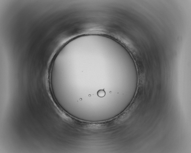 X0000116381470200912021510