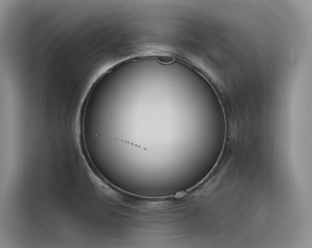 X0000116381471200912021510