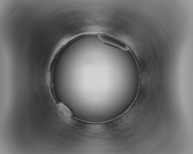X0000116381472200912021510