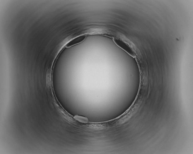 X0000116381473200912021510