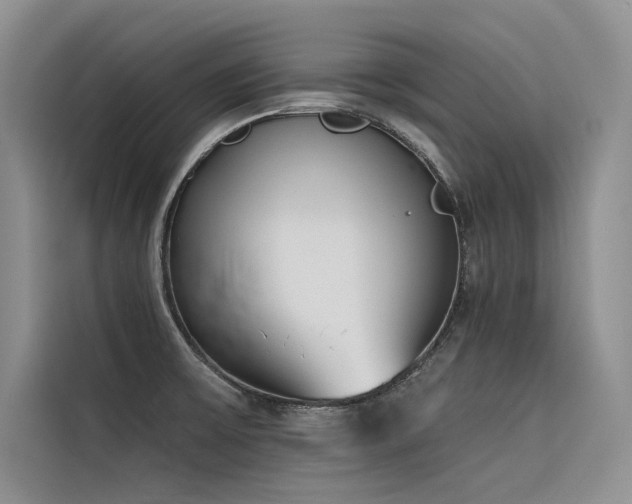 X0000116381475200912021510