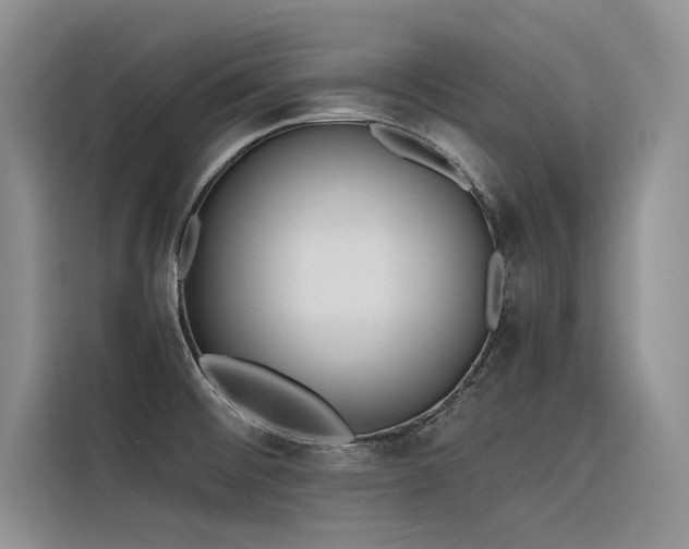 X0000116381476200912021510