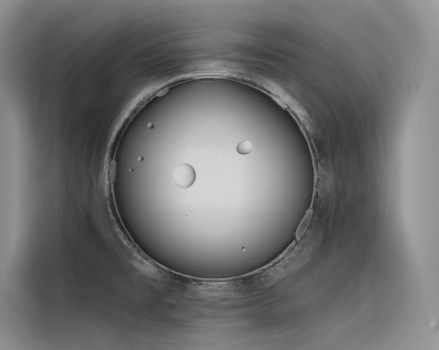 X0000116381477200912021510