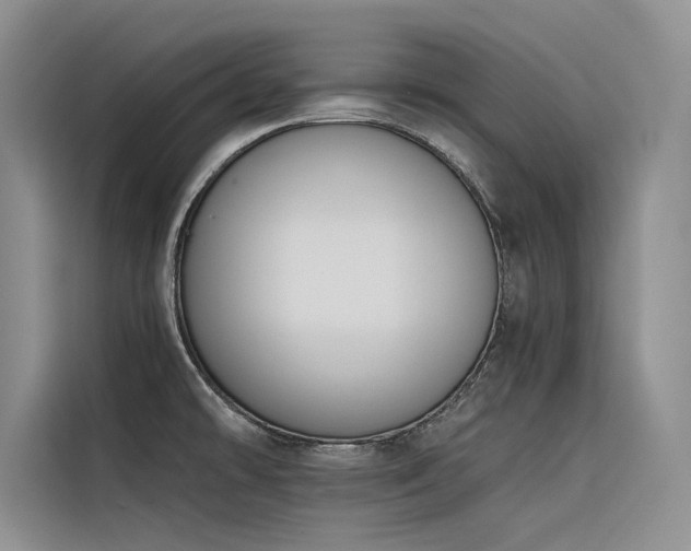 X0000116381478200912021510