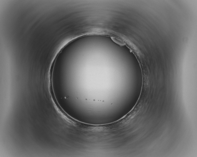 X0000116381479200912021510