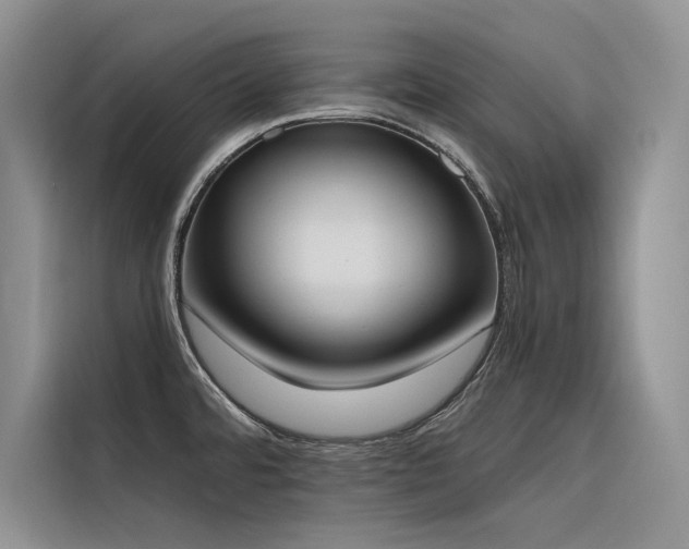 X0000116381480200912021510