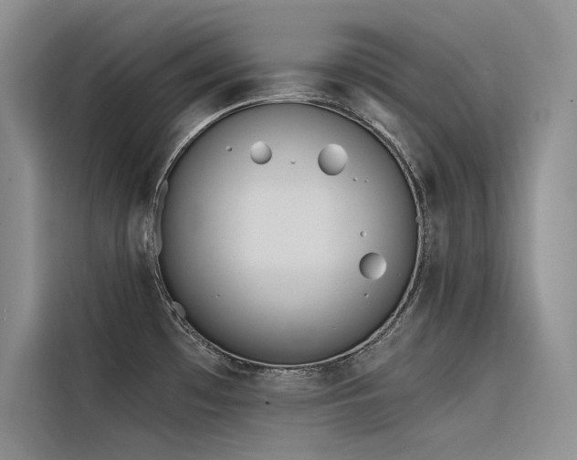 X0000116381481200912021510