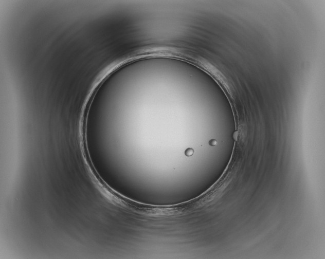 X0000116381482200912021510