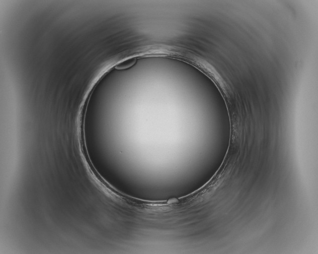 X0000116381483200912021509
