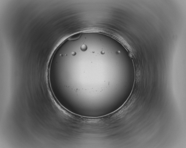 X0000116381484200912021509