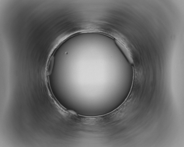 X0000116381485200912021509