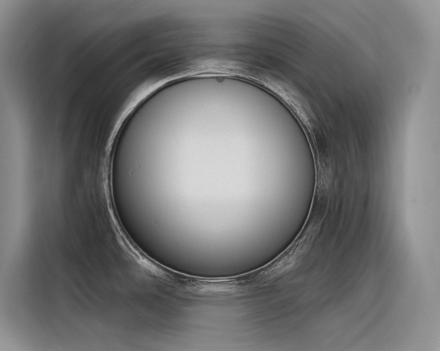 X0000116381486200912021509