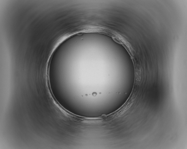 X0000116381487200912021509