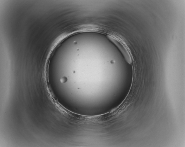 X0000116381488200912021509
