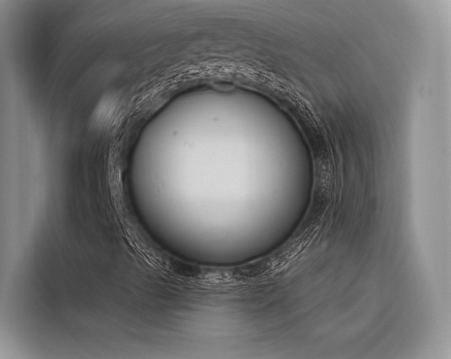X0000116381489200912021509