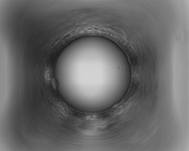 X0000116381490200912021509