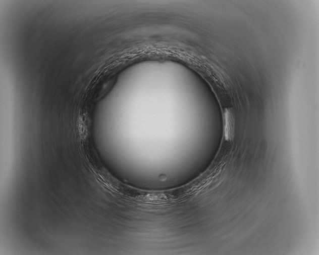 X0000116381491200912021509