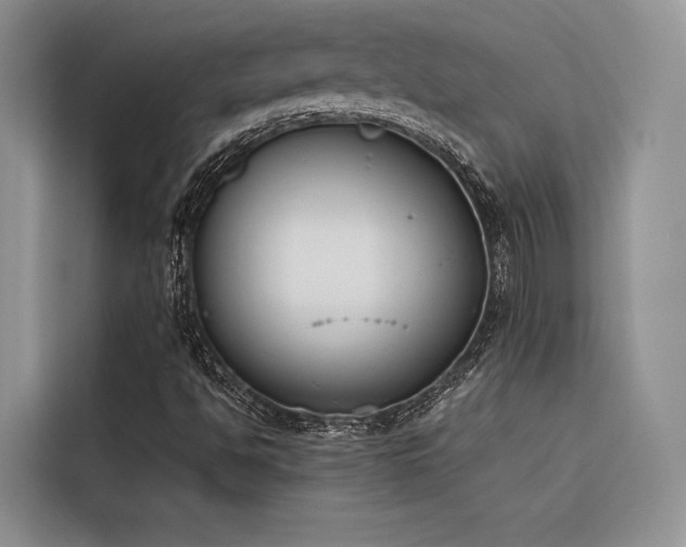 X0000116381494200912021509