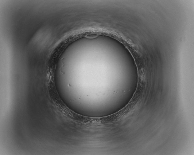 X0000116381495200912021509