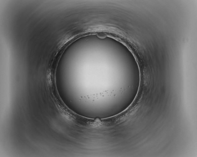 X0000116381497200912021509