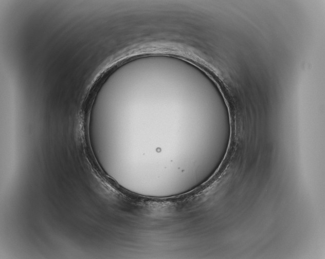 X0000116381498200912021509