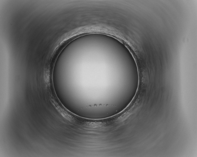 X0000116381499200912021509