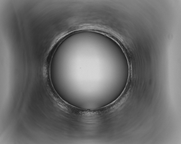X0000116381501200912021509