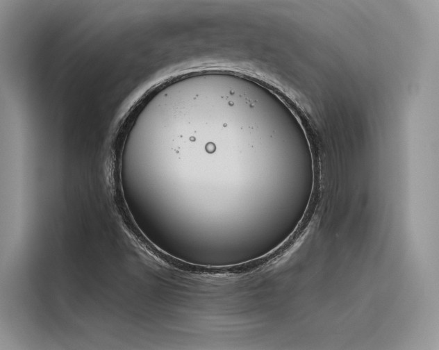 X0000116381502200912021509