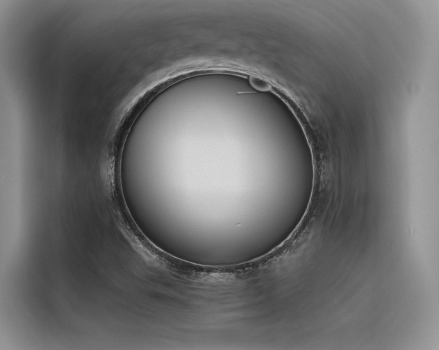 X0000116381503200912021509