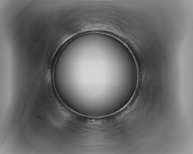 X0000116381505200912021509
