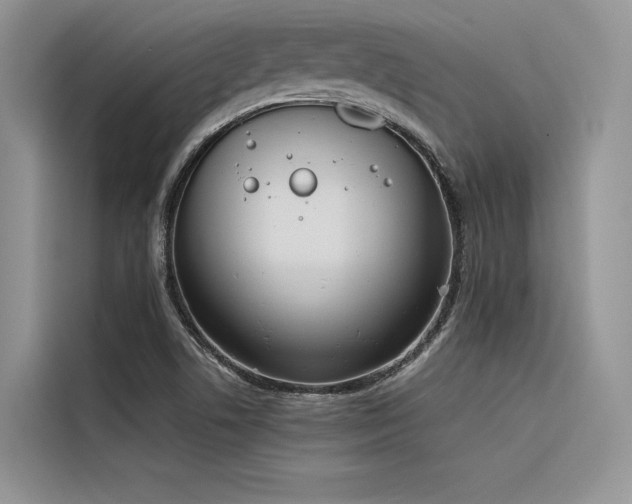 X0000116381506200912021509