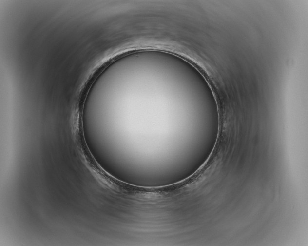 X0000116381507200912021509