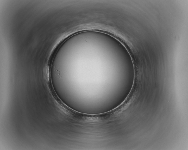 X0000116381509200912021509