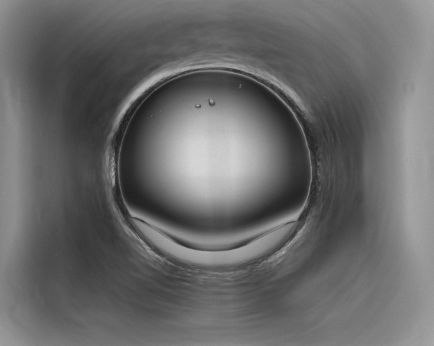 X0000116381510200912021509