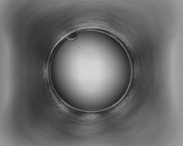 X0000116381513200912021509