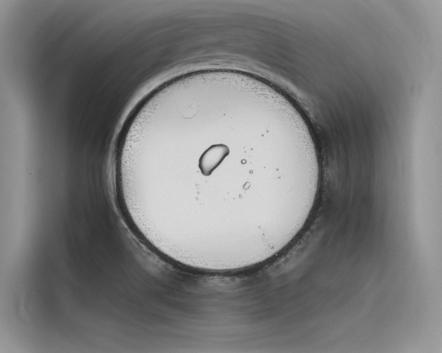 X0000116381514200912021509