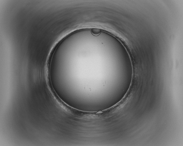 X0000116381517200912021509