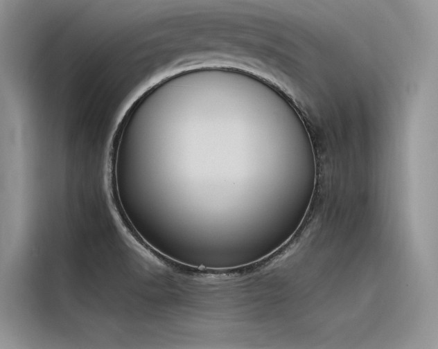 X0000116381518200912021509