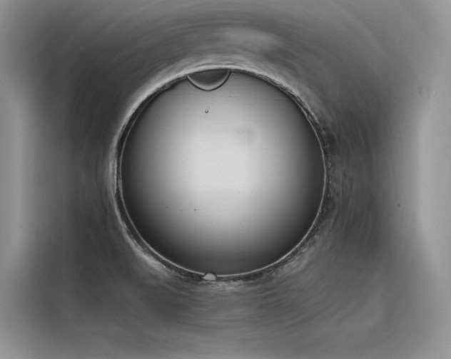 X0000116381519200912021509