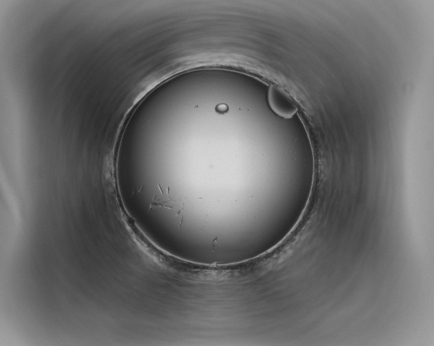 X0000116381521200912021509