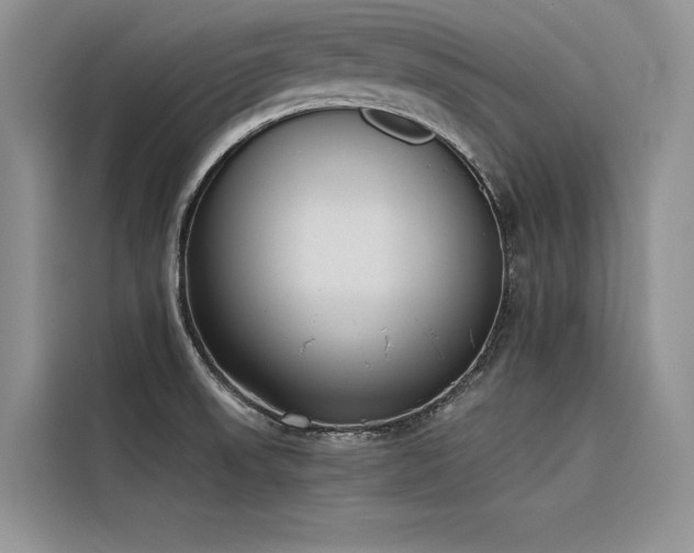 X0000116381523200912021509